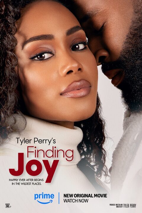 Finding Joy poster